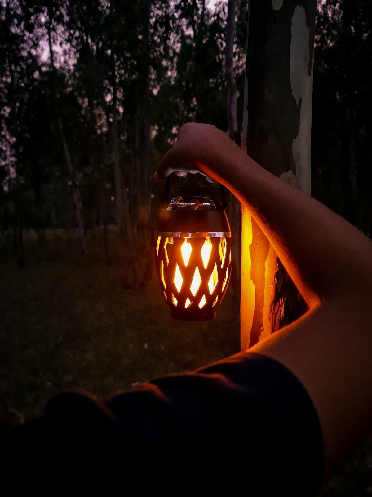 LED FLAME BLUETOOTH SPEAKER - shopgiftsworld